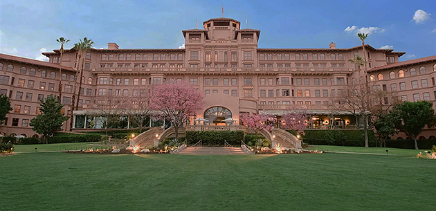 David Minkin performing