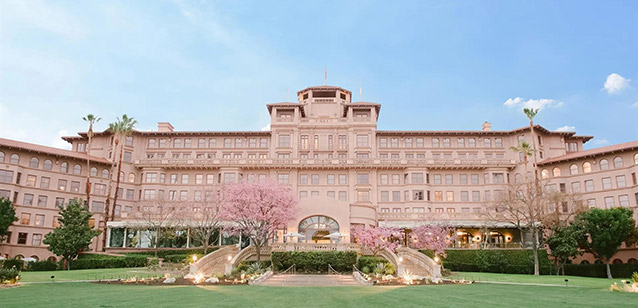 David Minkin performing